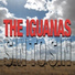 The Iguanas