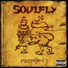 Soulfly