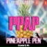 Pen-Pineapple-Apple-Pen