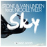Stone & van Linden feat. Nicole Tyler