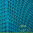 SayCeT-Opal