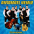 Ansambel Nemir feat. Toni