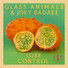 Glass Animals, Joey Bada$$