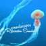 Soundscapes Relaxation Music