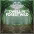 Forest Soundscapes