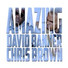David Banner feat. Chris Brown