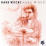 Dave Weckl Band