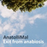 AnatolliMal