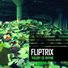 Fliptrix feat. Kashmere
