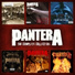 Pantera