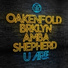 Paul Oakenfold feat. BRKLYN, Amba Shepherd