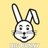 Big Bunny